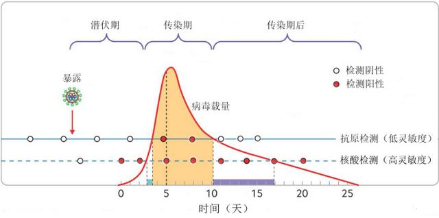 销售网络和销售渠道的区别(专家详解抗原检测+核酸检测优势：一个快、一个准，互为补充)