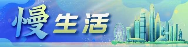 腾讯会员账号分享二维码在哪儿(慢生活 | 深圳地区居民可免费领取腾讯视频VIP周卡)