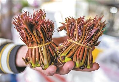 广州江南水果批发市场老板(枝头一抹红 品过才是春)