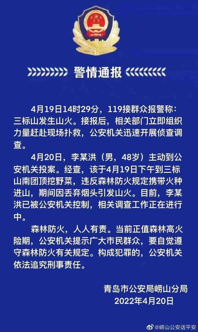 男子乱扔烟头引发山火被拘(男子丢烟头引发青岛三标山山火，嫌疑人已到公安机关投案)