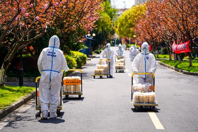 楼宇电视广告毕业论文(大江东｜这个春天，复旦园向阳而生，安然如斯)