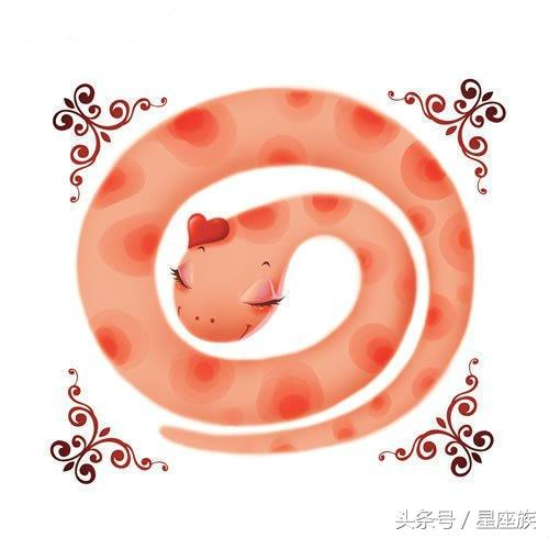 属蛇的今年运气咋样(不同年龄段的属蛇人，在今年的事业运和财运如何？)