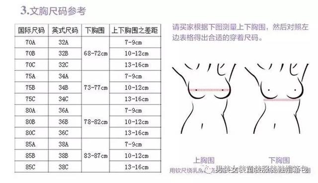 内衣80b是多大码的(内衣尺码的概念与选择)