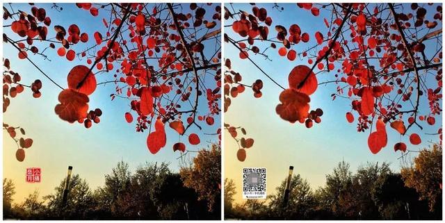 手机图片水印怎么加(想给多张照片同时“加水印”？｜手机3步搞定)