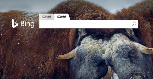 微软bing国际版(微软中国版 Bing 推出“国际版”服务，主要面向英文用户)
