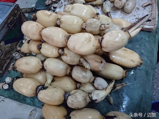 九仙散(每日方剂 固涩剂之敛肺止咳——九仙散)