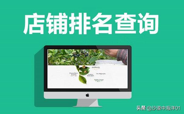 淘宝排名怎么看(淘宝店铺排名如何查询？)