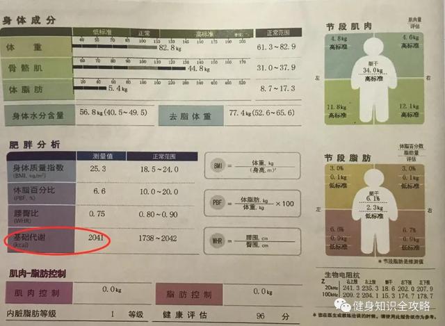 腰围82cm是几尺(详细讲解基础代谢，BMI计算法，体脂率计算法)