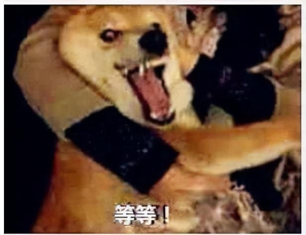 淘宝等级怎么看手机(杀疯了！2000元以内最香的手机，都在这了)