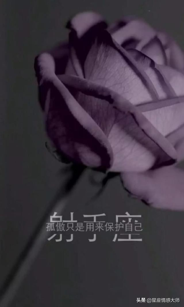 2021年属狗人的全年运势详解(属狗双子座2021爱情运 桃花运 财富运分析)