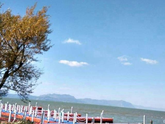 怎么知道谁看了我的朋友圈的美篇文章(美篇——心灵的港湾)