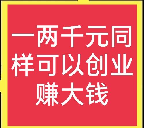 小生意项目大全1到2万(一两千块钱能做什么生意？这几个小项目能快速赚钱，值得一试)