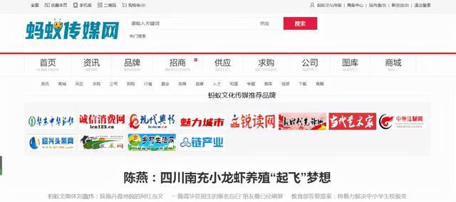 公司网站推广方法(蚂蚁全媒体中心刘鑫炜：企业网站推广的方法有哪些，附推广方案)