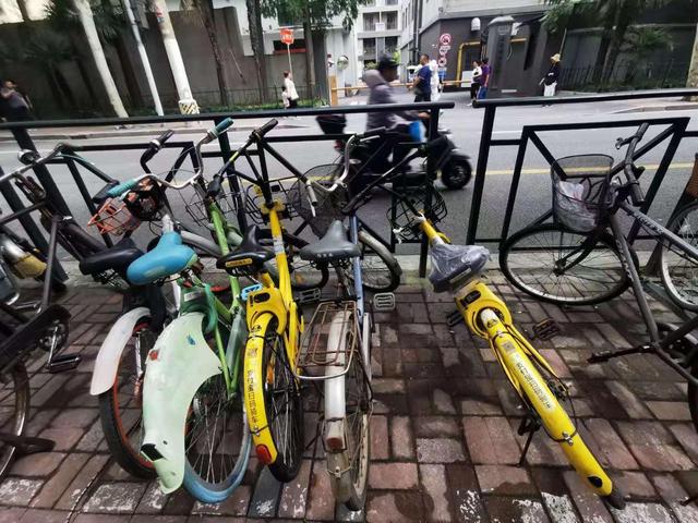 ofo自行车(申晨间 | 上海的ofo小黄车将变身有桩自行车？街头却难觅完好小黄车)
