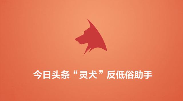灵犬反低俗助手下载:今日头条“灵犬”反低俗助手，你最想知道的9个问题