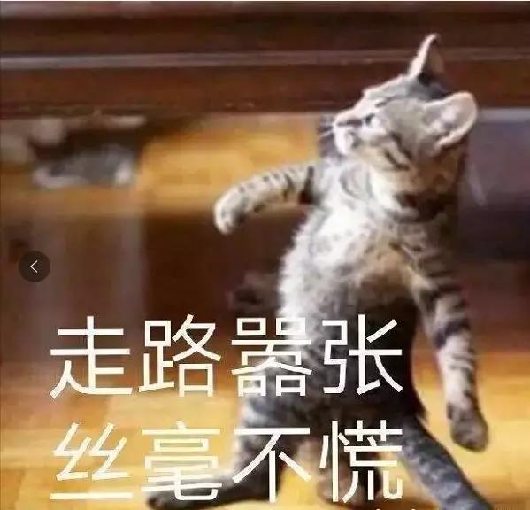 广州快时尚女装品牌大全(太意外！这些火爆全国的女装品牌都来自广州！你穿过哪几家的？)