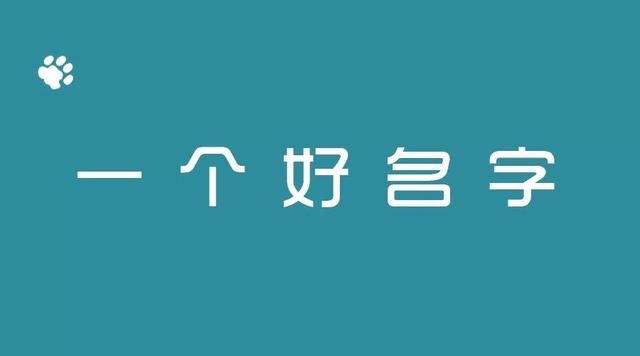 公众号起名字大全(如何起一个吸引人的公众号名字？)