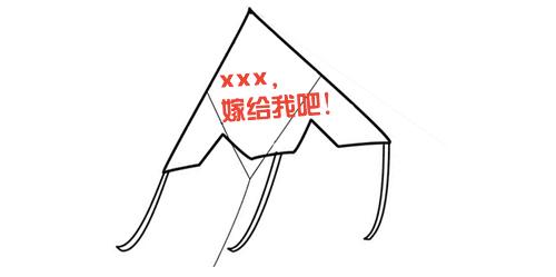 天才小熊猫视频(没事儿就不要帮别人求婚了)