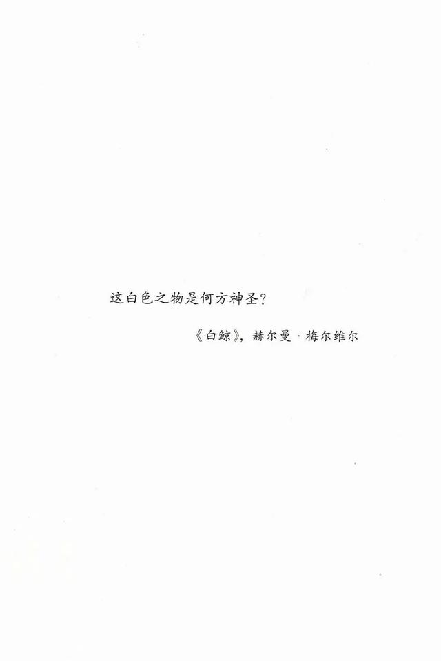 纯白色图片素材(「收藏物语」27 白的回归——白色陶瓷之路)