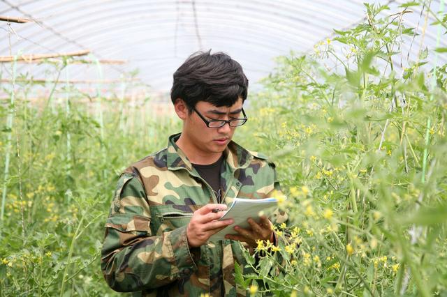 年底种植什么蔬菜赚钱又好卖(1亩地种8000株卖20元一斤，年赚20万，他在农村靠种这种蔬菜致富)