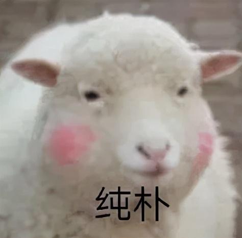 隐私设置怎么解除(手机被“监听”了也不知道？这4个设置要关闭，避免隐私泄露)