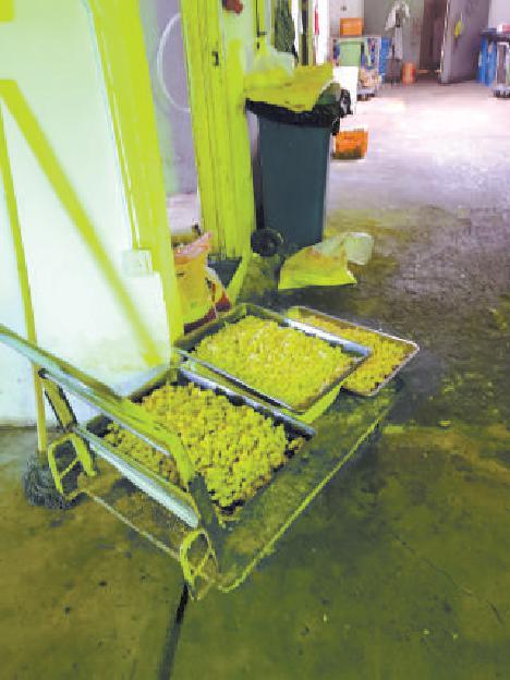 街边小吃摊的卫生调查(菜筐下爬蟑螂、食材挨垃圾桶……一些美食城卫生状况堪忧)
