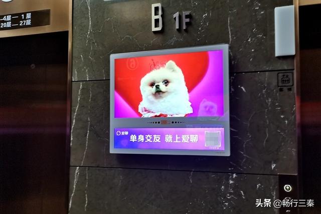 祈求爱聊APP闭嘴下架好么？我单不单身关你什么事？(百合网广告语)