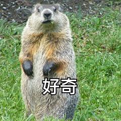 视频裁剪软件免费版(视频文件如何进行裁剪？四款软件帮你完成)