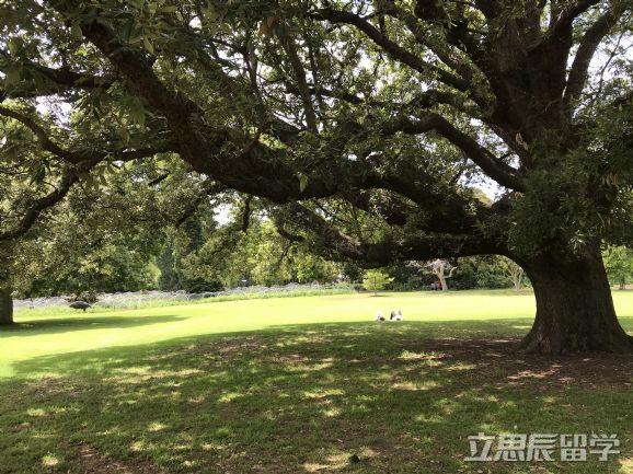 加权学分成绩怎么算(澳洲留学GPA怎么算？加权、算术看哪个？)