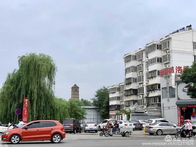河洛网vip(牡丹石、黄河石、河洛石荟萃，洛阳河洛石文化博物馆印象)