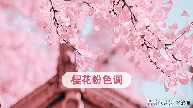 ps怎么给衣服换颜色视频(梦梦教你用PS调出樱花粉色调，PSCC2020调色教程)
