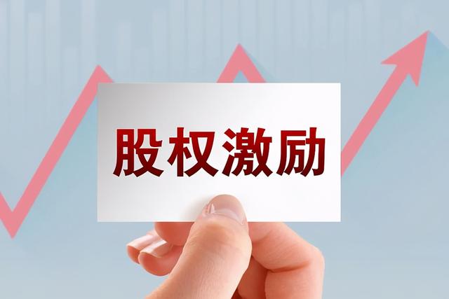 公司期权激励方案(公司股权激励方案（完整版）)