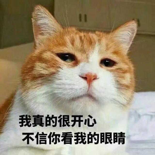 抖音怎么用自己的歌曲苹果手机(从不好用到真香，建议你将AppleMusic进行到底)