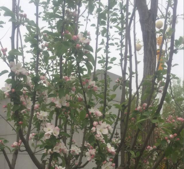 快递地址填错了已经发到了怎么办可以改地址(收货地址都写错了，她还能及时收到快递，这个快递小哥有点牛！)
