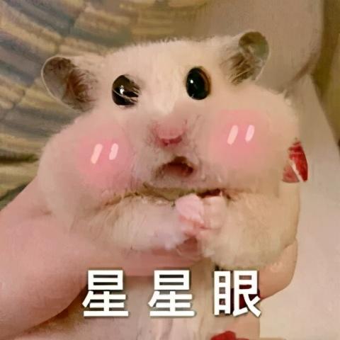 小ck包包图片(四季百搭 | 小ck春夏必火的新品包包，每一款都超想买)