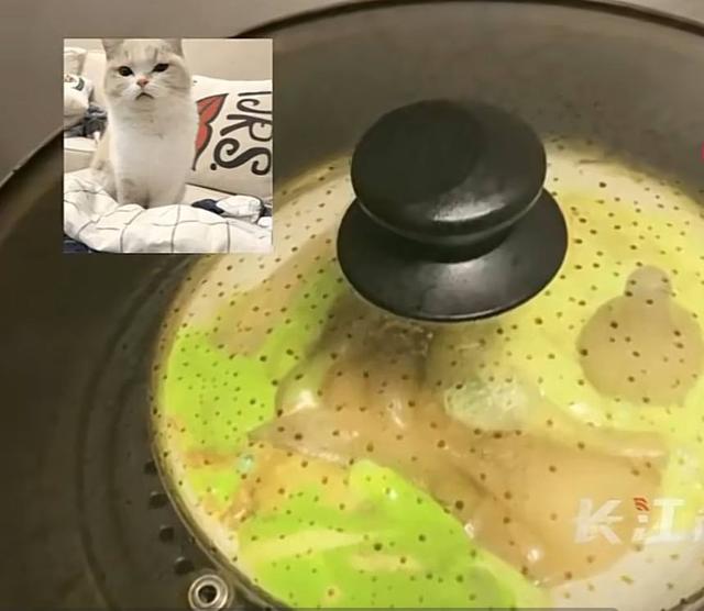 奶瓶短视频奶出你的味道(当妈妈给奶瓶消毒忘了时间：化了的奶瓶，宛如一盘水煮青菜加鸡蛋)