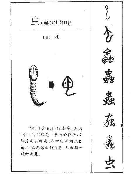 蝰蛇怎么读(汉语中带虫字旁的字词，哪些是指昆虫的？)