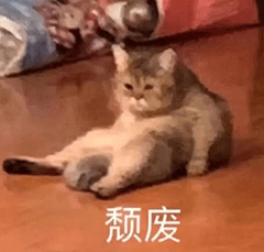 转盘抽奖小程序如何作弊(公司要抽奖活动？50行Python代码制作了一个转盘抽奖小程序)