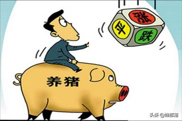 农业养殖致富项目老母猪(2021年才建圈养母猪，会不会太迟了？红利期已过，但也不迟)
