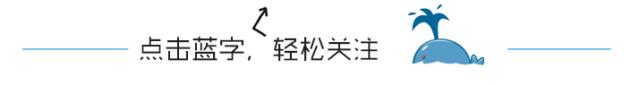 新西兰枪击17分钟视频链接(突发！新西兰发生数起枪击事件！枪手竟直播整个过程！)