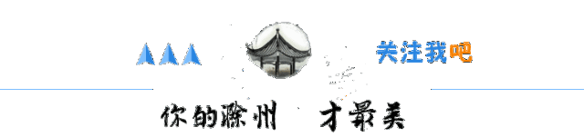 公交卡丢了怎么办(公交卡遗失到底能不能补？官方回复来了...)