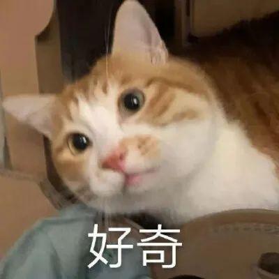 oppo手机微信怎么没有声音提醒了(微信又有大变化，4大功能专门针对这些人！网友：真香)