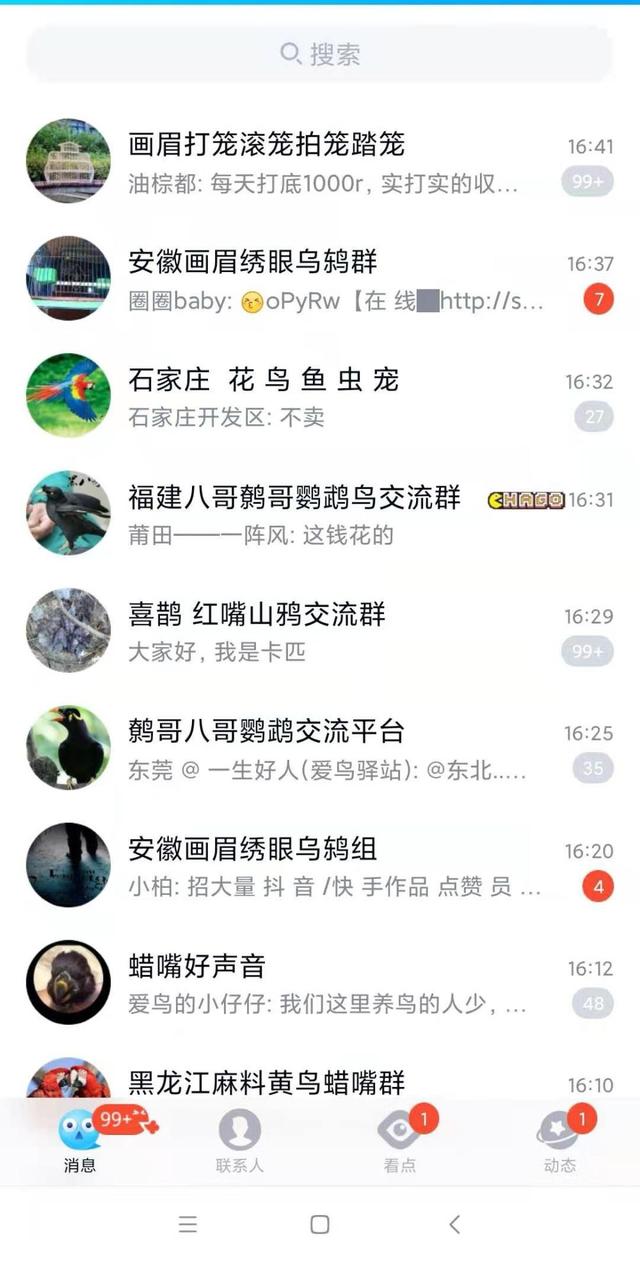 qq群主怎么转让不了(记者卧底调查：有人在网上这样贩卖野生鸟类)