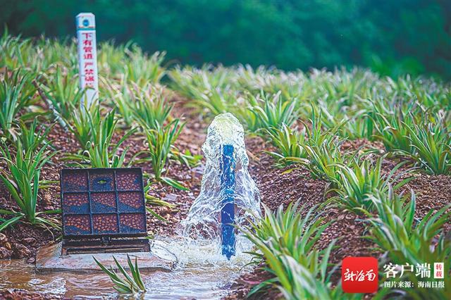 芝麻分574能借多少(海南省大力推动农业机械化 助力一批农机科技成果转化)