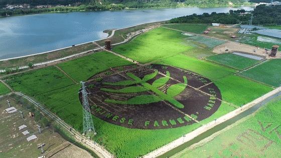 四会属于哪个市哪个省(国庆省内游好去处！大美四会最全旅游攻略出炉)