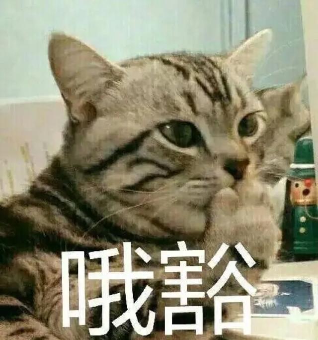 话费充错了怎么退款苹果手机(法官说“典” | 转错账、充错话费怎么办？)