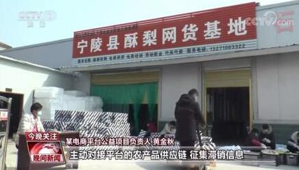 斑马会员靠谱吗(中央电视台报道的斑马会员是干嘛的？靠谱吗)