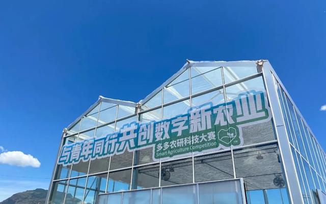 拼多多简介600字(坐拥8亿用户，拼多多站稳了？)