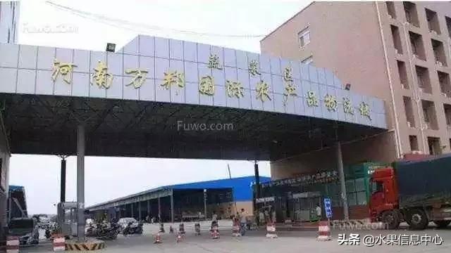 郑州万邦水果批发市场属于哪个区(华中最大水果市场---郑州万邦水果市场简介及批发商信息)