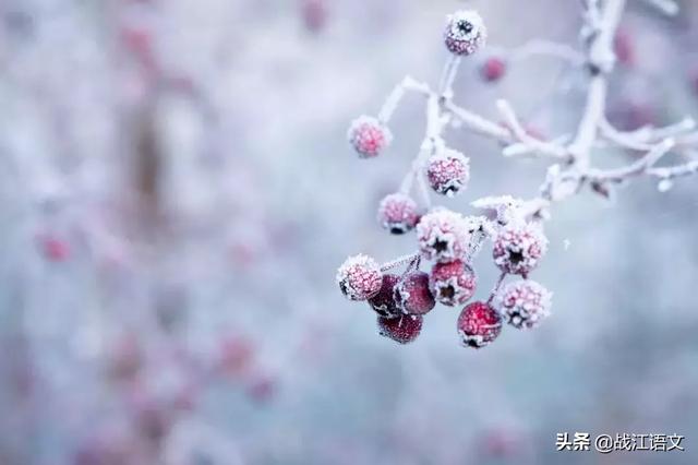 让阅卷老师叫绝的中考情景作文：手机响了(智能枕头作文)